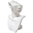 Display bust / head - white - for earrings and necklaces_